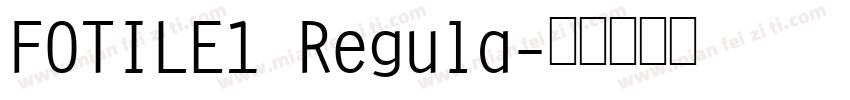 FOTILE1 Regula字体转换